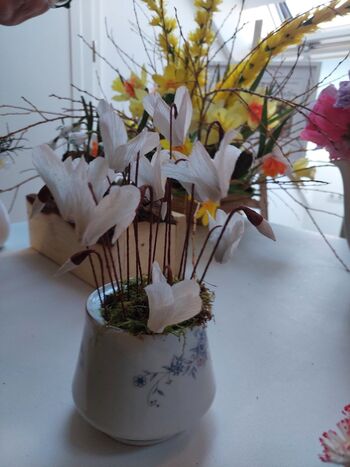 Strokovno srečanje v Velenju