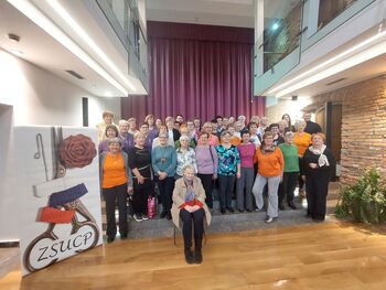 Strokovno srečanje v Velenju