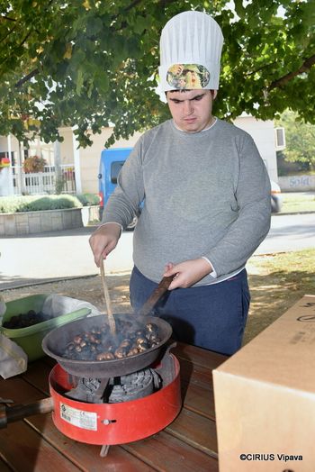 Kostanjev piknik Kostanjev piknik