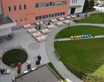 Kostanjev piknik s svojci in prijatelji naših stanovalcev