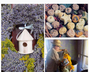 Sivka in zeleno izobraževanje