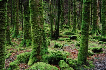 PODNEBJE NAS VSE POVEZUJE
