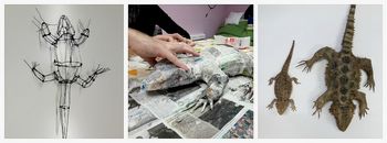 Dotakni se živalskega sveta