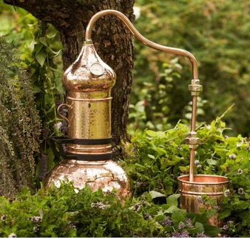 Praktična delavnica destilacije rožmarina in uporabe eteričnega olja