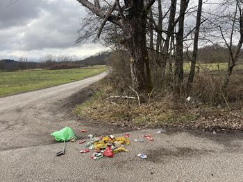 Lovski zakon še februarja dopušča posege na zelene površine