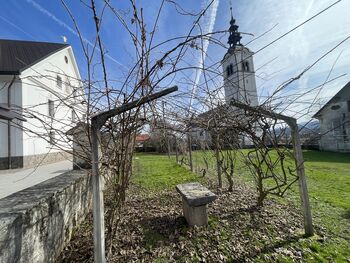 Ob 75. Sosedovem dnevu spoznavamo svoje korenine, 7.3. obrezujemo trto ter sadno drevje in še kaj
