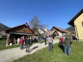 V Jožefovem vrtu bomo obrezovali sadje vsako prvo soboto v marcu