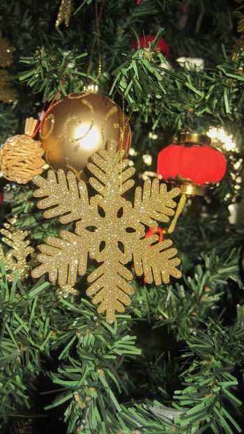 Čarnica - Miklavžev sejem. Čarnica - Miklavžev sejem.