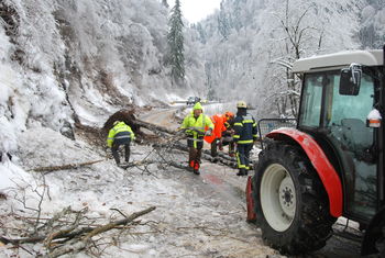 Gasilci PGD Dvor osem dni v boju z žledolomom