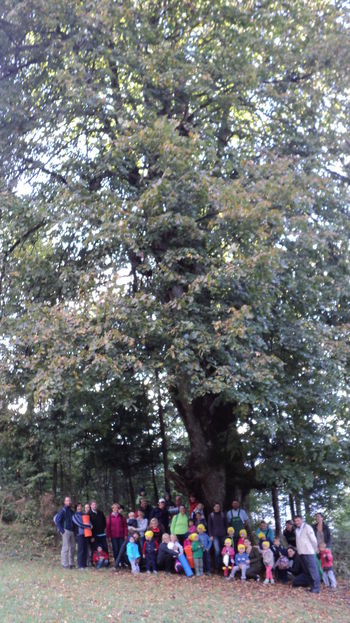 3.ŠKRATOV POHOD - NA KUPLJENIKU