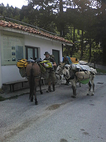 Francoza z mulama čez Lig v antično deželo