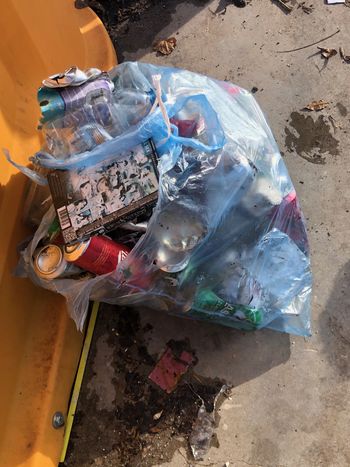 Pohodniška sekcija DSJT čistila okolico