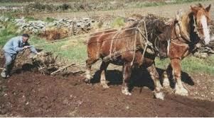 Prikaz pravilne nastavitve plugov