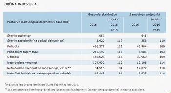 Poslovanje poslovnih subjektov v letu 2016