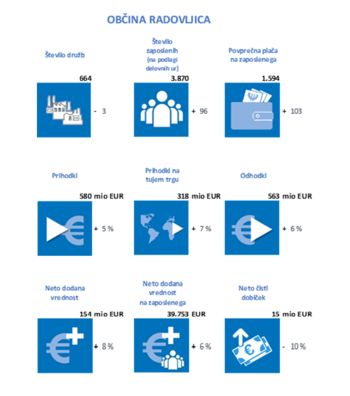 POSLOVANJE POSLOVNIH SUBJEKTOV V OBČINI RADOVLJICA V LETU 2019