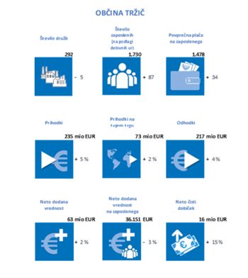 POSLOVANJE POSLOVNIH SUBJEKTOV V OBČINI TRŽIČ V LETU 2019