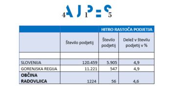 HITRO RASTOČA PODJETJA V OBČINI RADOVLJICA