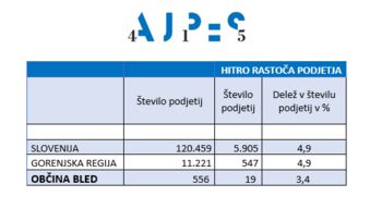 HITRO RASTOČA PODJETJA V OBČINI BLED