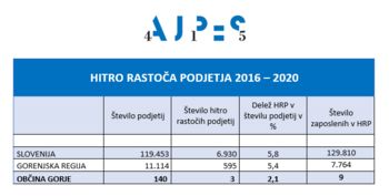 HITRO RASTOČA PODJETJA V OBČINI GORJE