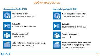 Rezultati poslovanja gospodarskih družb in samostojnih podjetnikov v letu 2024