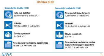 Rezultati poslovanja gospodarskih družb in samostojnih podjetnikov v letu 2024
