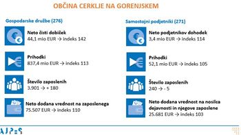 Rezultati poslovanja gospodarskih družb in samostojnih podjetnikov v letu 2024