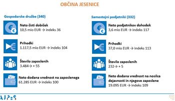 Rezultati poslovanja gospodarskih družb in samostojnih podjetnikov v letu 2024