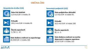 Rezultati poslovanja gospodarskih družb in samostojnih podjetnikov v letu 2024