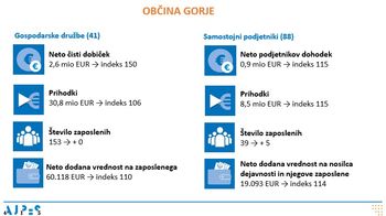 Rezultati poslovanja gospodarskih družb in samostojnih podjetnikov v letu 2024