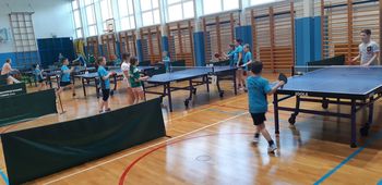 Rezultati 19. odprtega turnirja občine Brezovica v namiznem tenisu