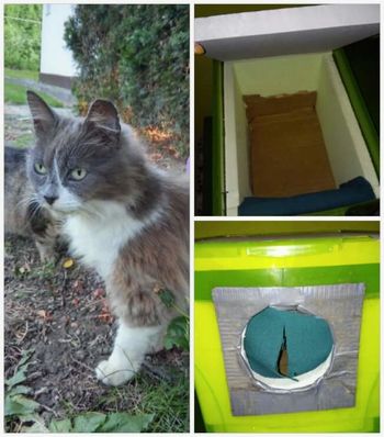 Če zebe nas, zebe tudi njih...