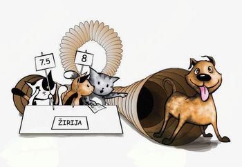 DOBRODELNI DOGODEK MURI FEST