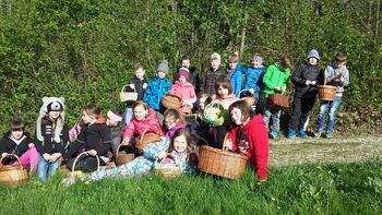 SIRUP IZ SMREKOVIH VRŠIČKOV IN REGRATOV MED 