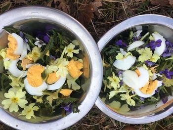 PLANINCI, ZELIŠČNI ČAJ IN REGRATOVA SOLATA Z JAJČKO   