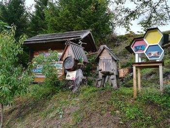 Mladi čebelarji obiskali planšarijo Lipovec Mladi čebelarji obiskali planšarijo Lipovec