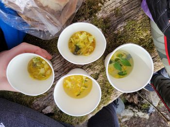 PLANINSKI OBISK DOMAČEGA RIGLJA