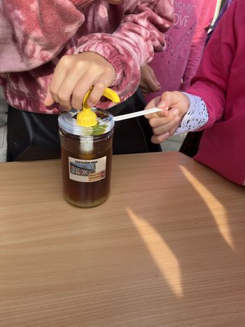 Svetovni dan čebel na Osnovni šoli Vransko
