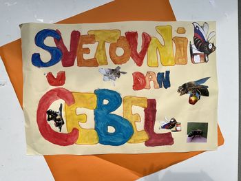 Svetovni dan čebel na Osnovni šoli Vransko
