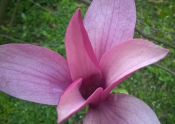 Sprejemanje in kreiranje obilja