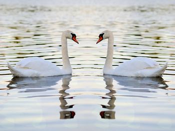 Odnos med mamo in očetom