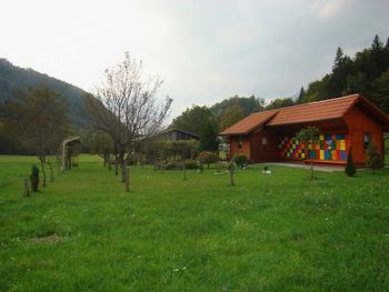 Slovenski čebelarji