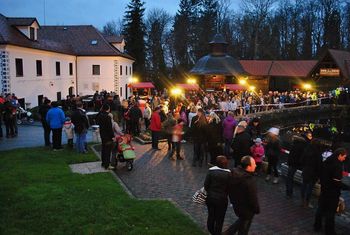 POTOP BOŽIČNEGA DREVESCA