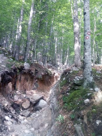 Previdno na poti iz Kokre proti Cojzovi koči