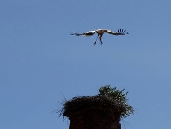 Mladi Preddvorčanki sta že na poti v Afriko