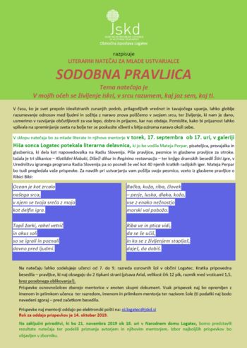 RAZPIS / MLADINSKI LITERARNI NATEČAJ 2019 