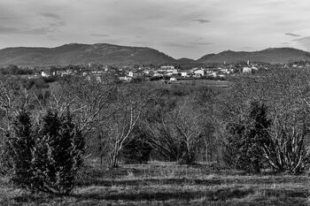 Fotografije Draga Metljaka iz življenja na Krasu