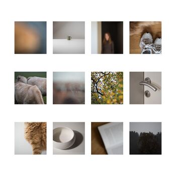 Fragmenti v fotografijah Eve Križaj