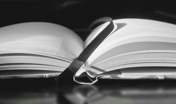 Literarni večer mlade pesnice Tonje Jelen