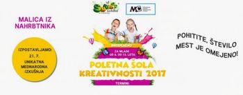 Poletna šola kreativnosti 2017