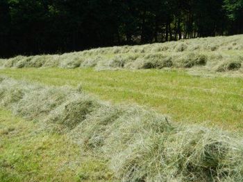  Predstavitev strojev za košnjo in spravilo mrve  na hribovitem terenu